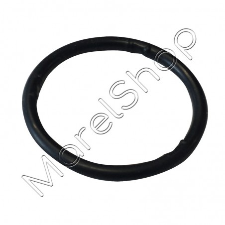 Guarnizione O-ring tappo serbatoio SP600/600S